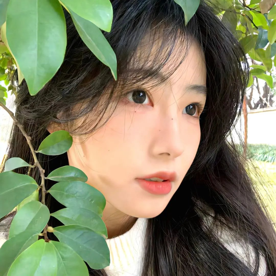 少女佳禾